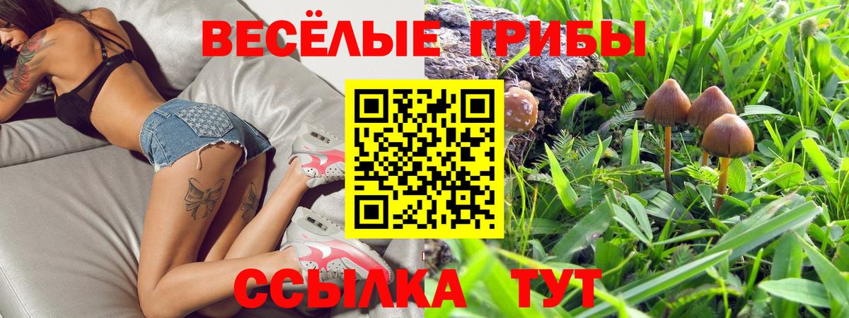 Галлюциногенные грибы Magic Shrooms Долгопрудный
